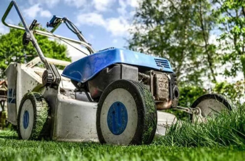 Essential tools for your lawn and garden