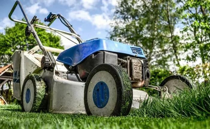 Essential tools for your lawn and garden