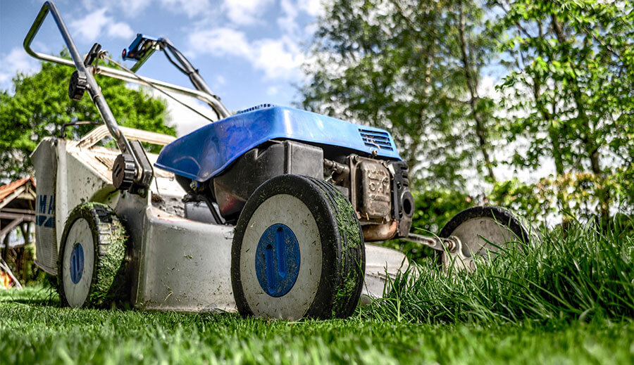 Essential tools for your lawn and garden